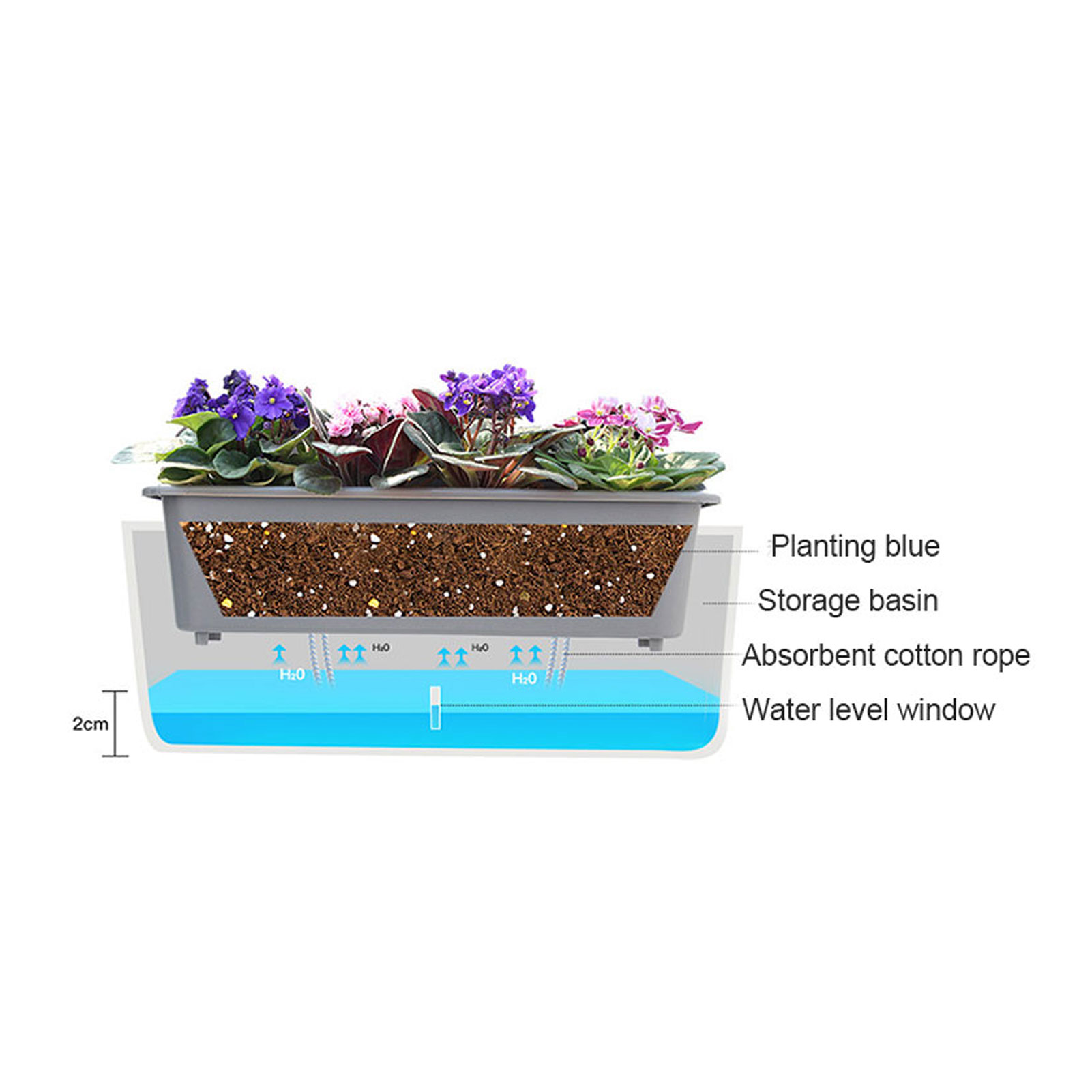 Self-Watering Planter Pots wit - огляд і ціна Self Watering Insert