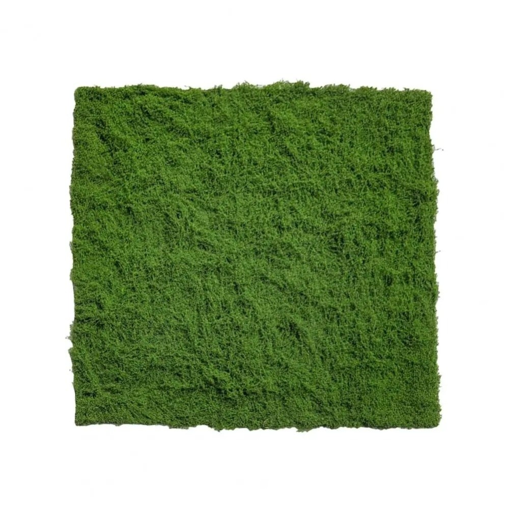 DIY Artificial Grass Rug Durab - огляд і ціна Sphagnum Moss Dry