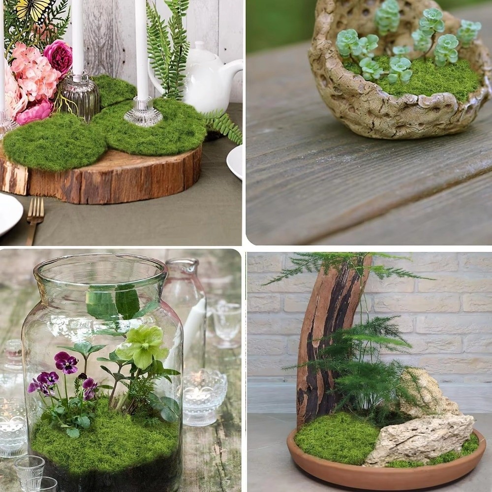 DIY Artificial Grass Rug Durab - огляд і ціна Sphagnum Moss Dry