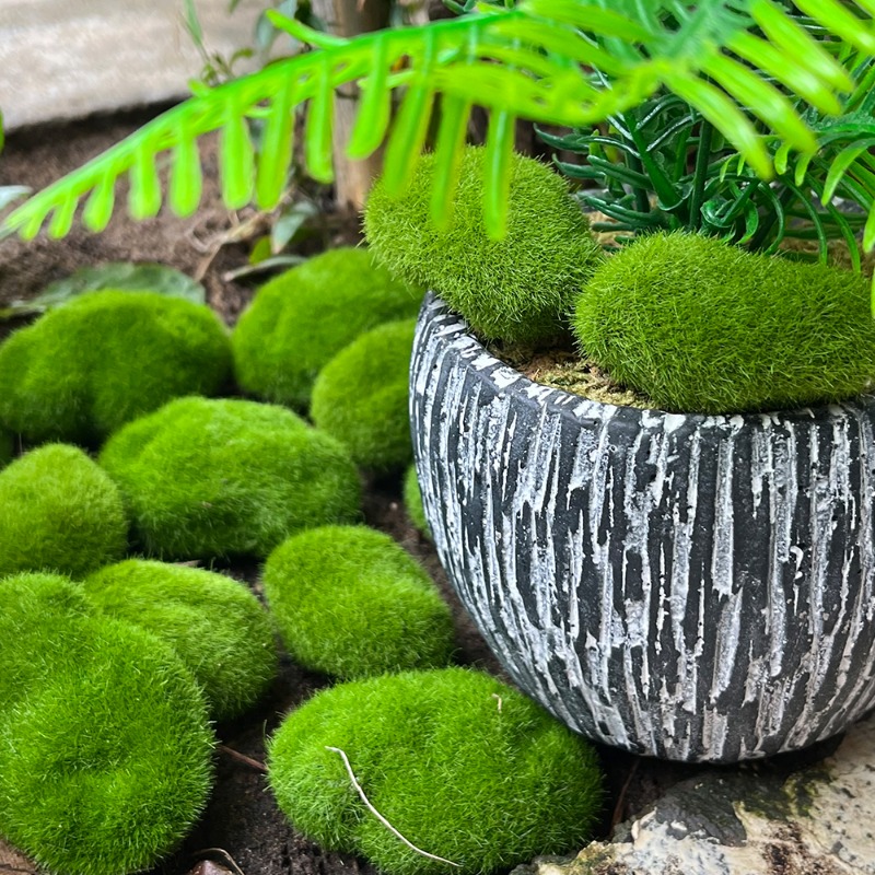100/5PCS Artificial Moss Rock  - огляд і ціна Sphagnum Moss Dry