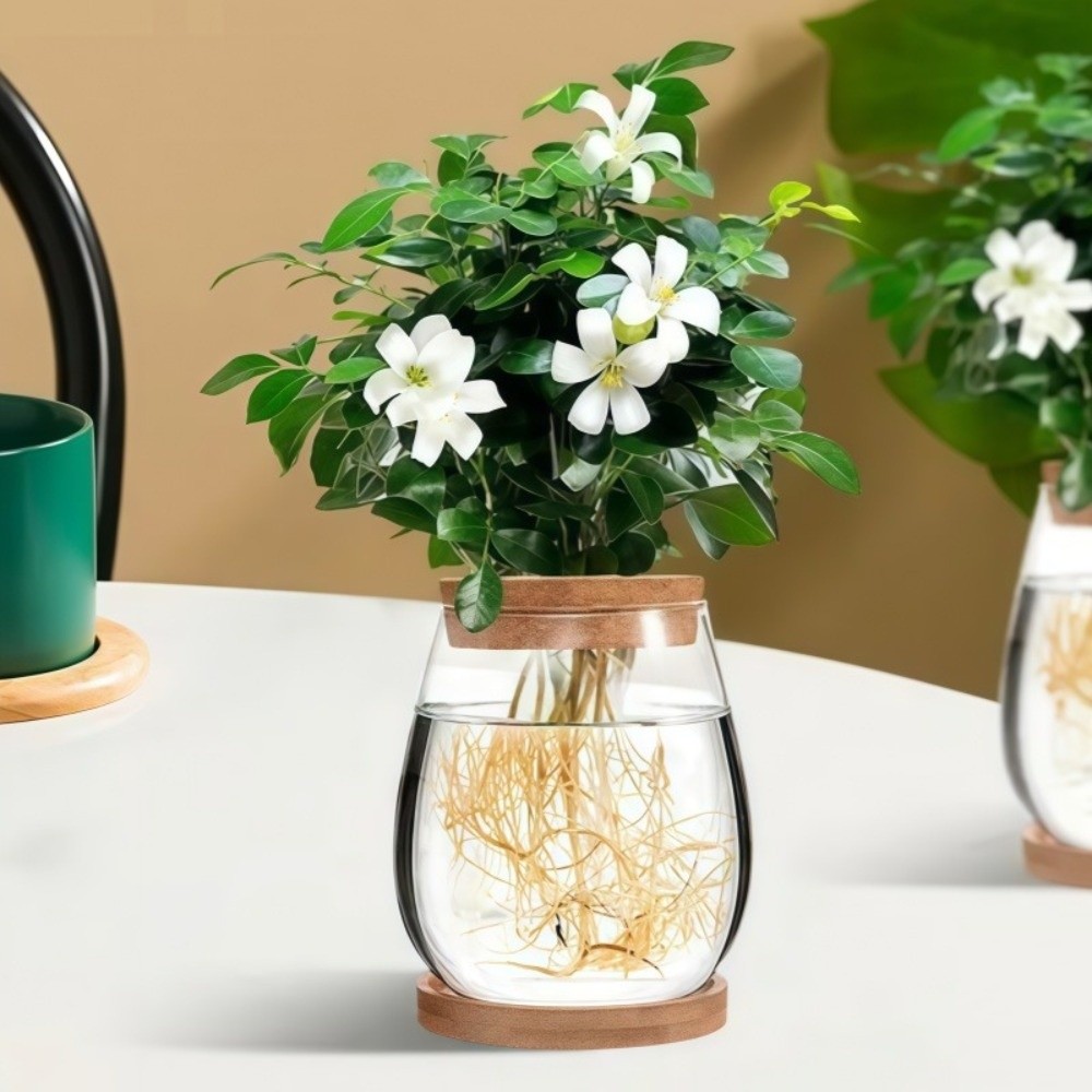Transparent Hydroponic Flowerp - огляд і ціна Propagation Station Vase