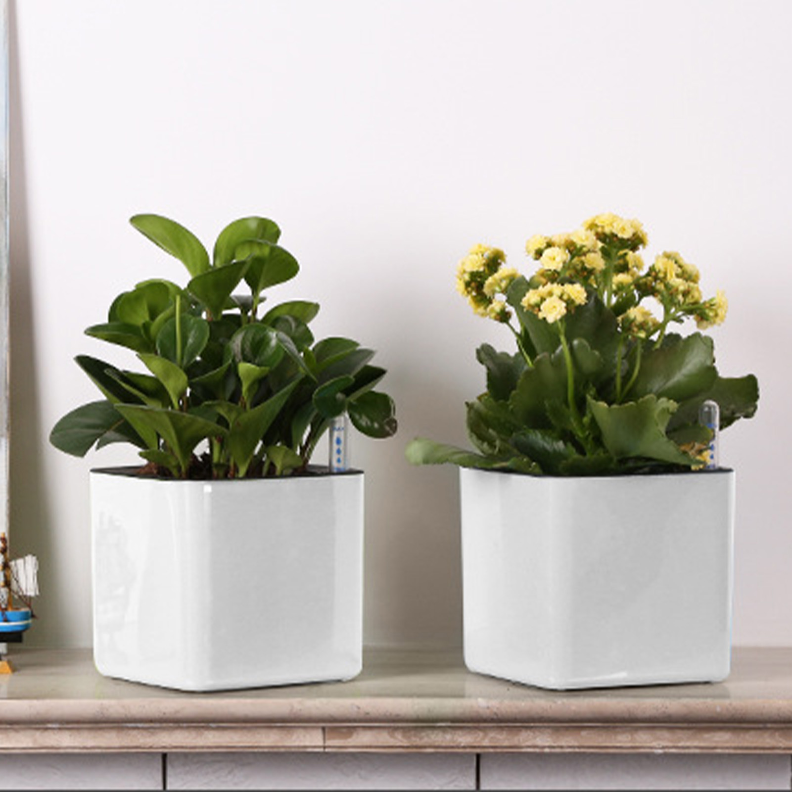 Self Watering Planter Self-wat - огляд і ціна Self Watering Insert