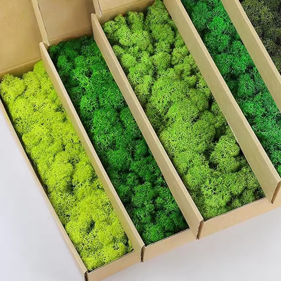20-200g Artificial Green Plant - огляд і ціна Sphagnum Moss Dry