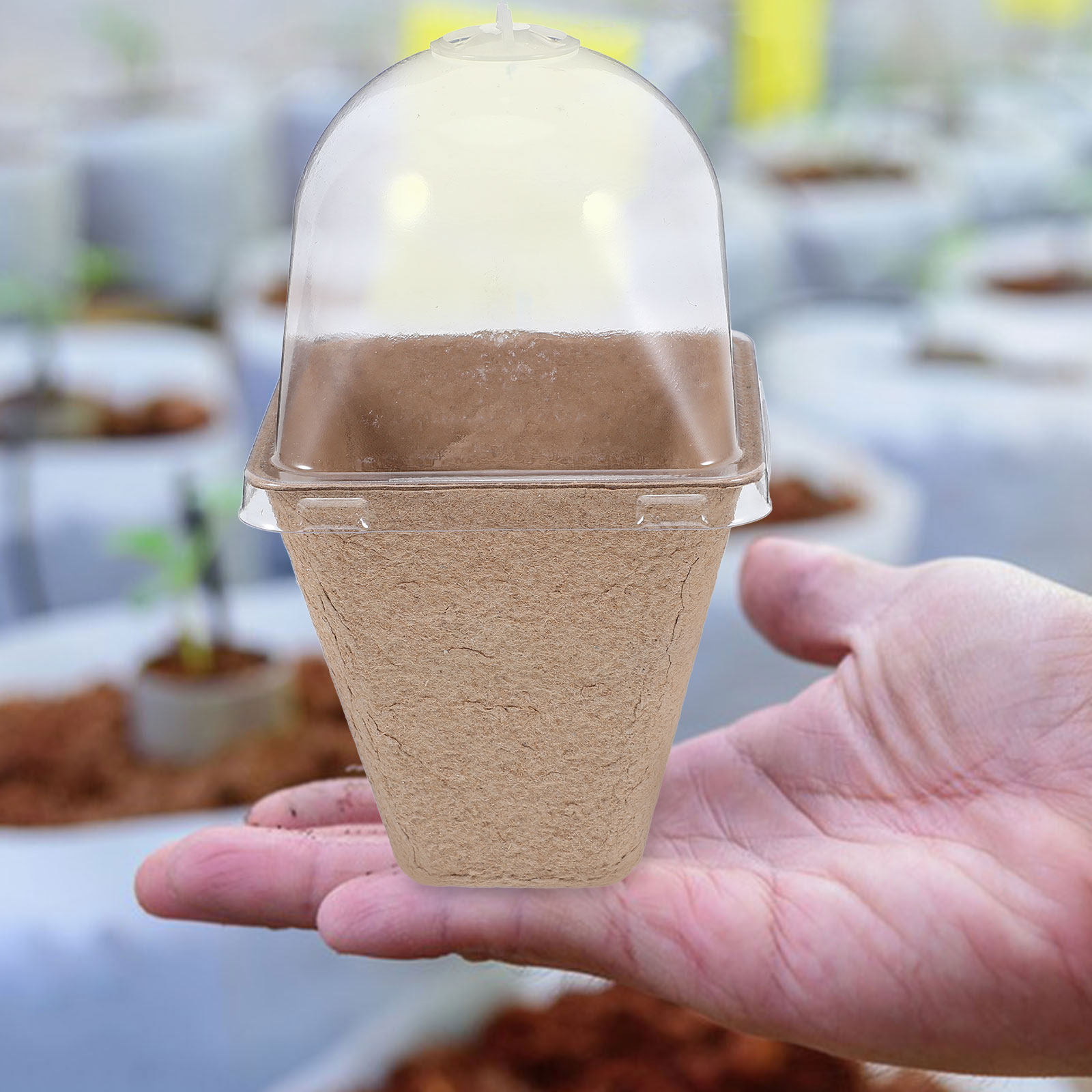 10Pcs Biodegradable Seedling S - огляд і ціна Humidity Dome Kit