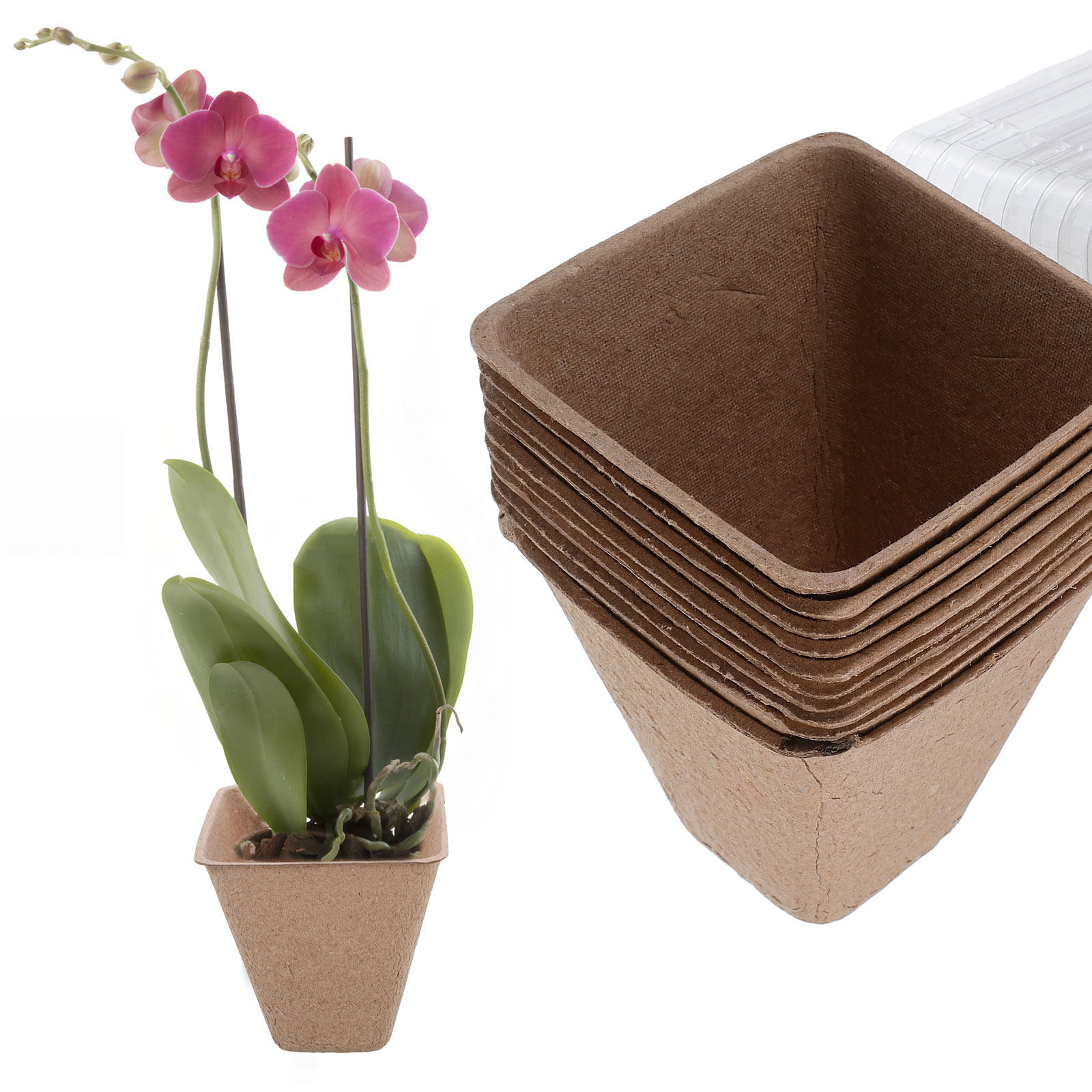 10Pcs Biodegradable Seedling S - огляд і ціна Humidity Dome Kit
