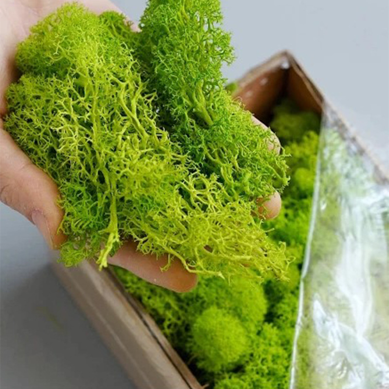 Artificial Green Plants Mini L - огляд і ціна Sphagnum Moss Dry