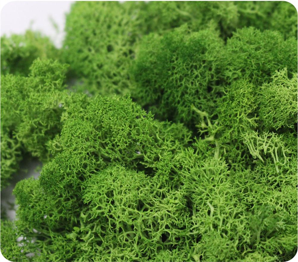 Artificial Plant Eternal Life  - огляд і ціна Sphagnum Moss Dry