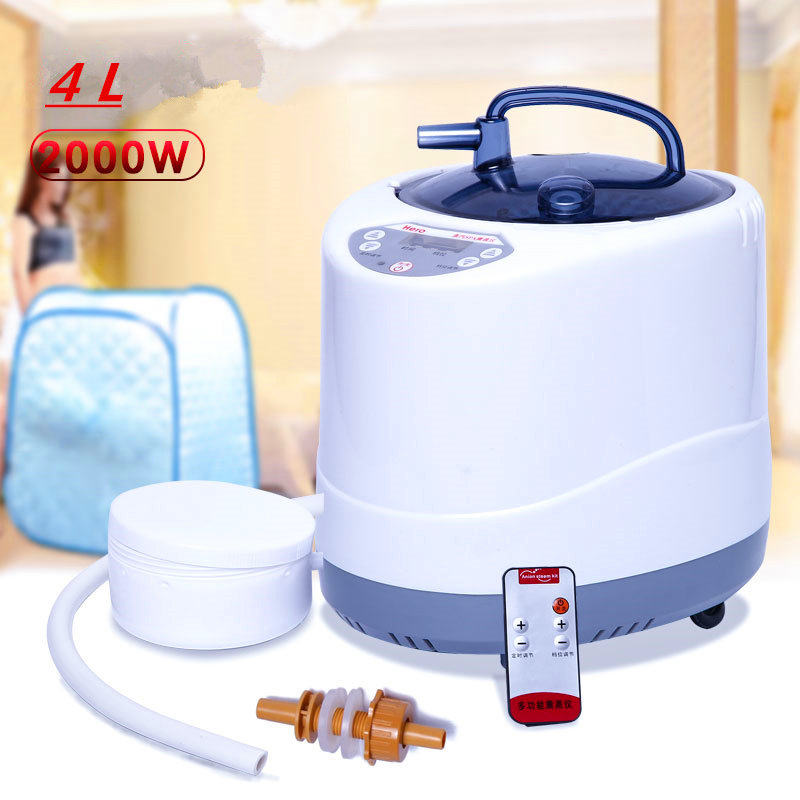 Steam Generator 220V/110V  EU  - огляд і ціна Self Watering Insert