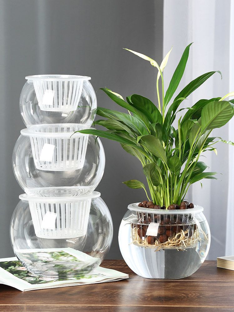 Hydroponic Glass Vase Glass Gr - огляд і ціна Propagation Station Vase